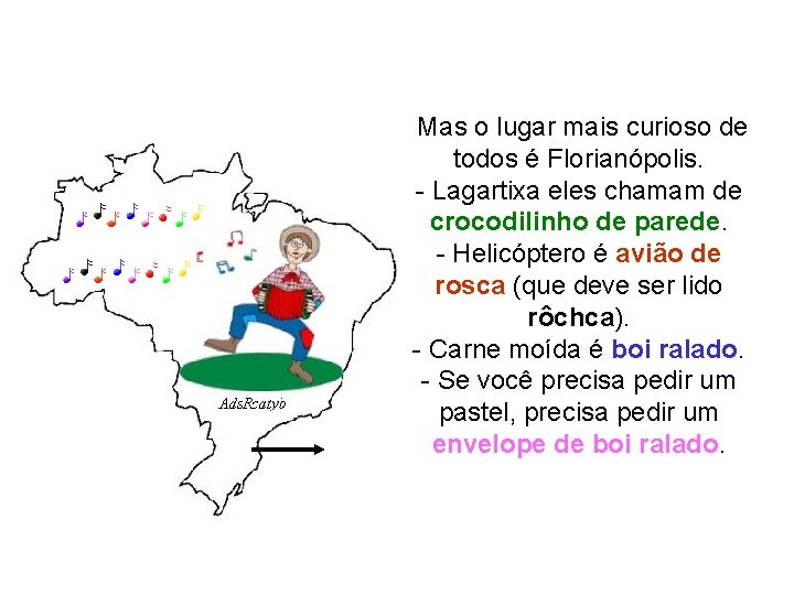 Mas o lugar mais curioso de todos é Florianópolis. - Lagartixa eles chamam Mas o lugar mais curioso de todos é Florianópolis. - Lagartixa eles chamam