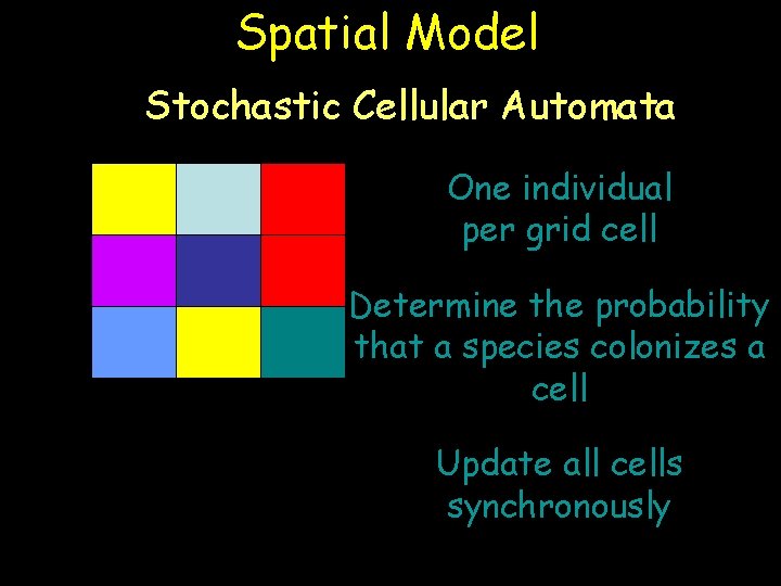 Spatial Model Stochastic Cellular Automata One individual per grid cell Determine the probability that