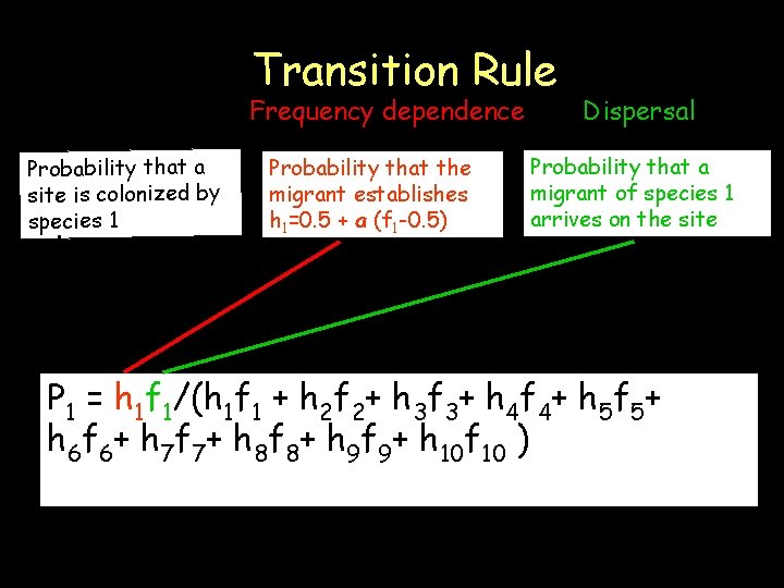 Transition Rule Frequency dependence Probability that a site is colonized by species 1 Probability