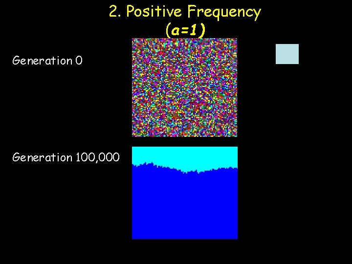 2. Positive Frequency (a=1) Generation 0 Generation 100, 000 Molofsky et al 2001. Proc.