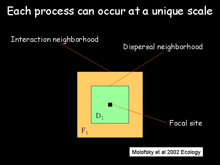 Each process can occur at a unique scale Interaction neighborhood D 1 F 1