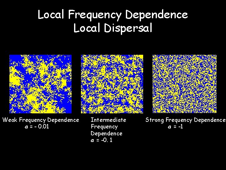 Local Frequency Dependence Local Dispersal Weak Frequency Dependence a = - 0. 01 Intermediate