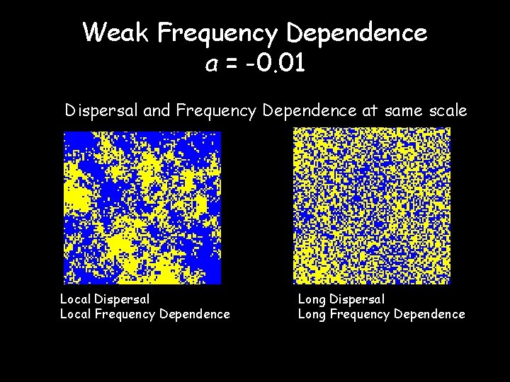 Weak Frequency Dependence a = -0. 01 Dispersal and Frequency Dependence at same scale