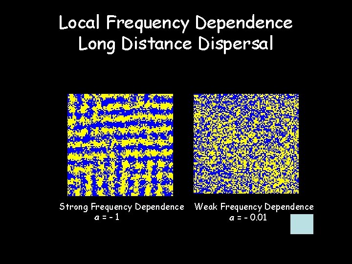 Local Frequency Dependence Long Distance Dispersal Strong Frequency Dependence a=-1 Weak Frequency Dependence a