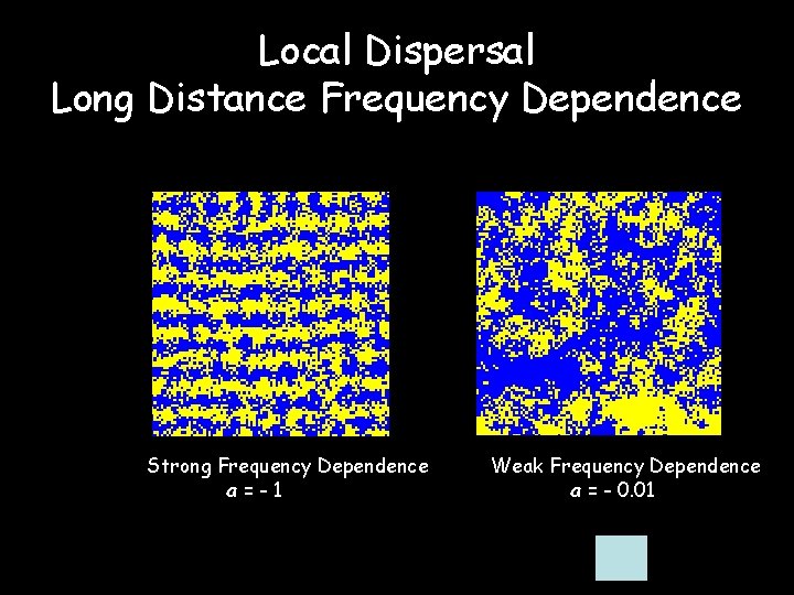 Local Dispersal Long Distance Frequency Dependence Strong Frequency Dependence a=-1 Weak Frequency Dependence a