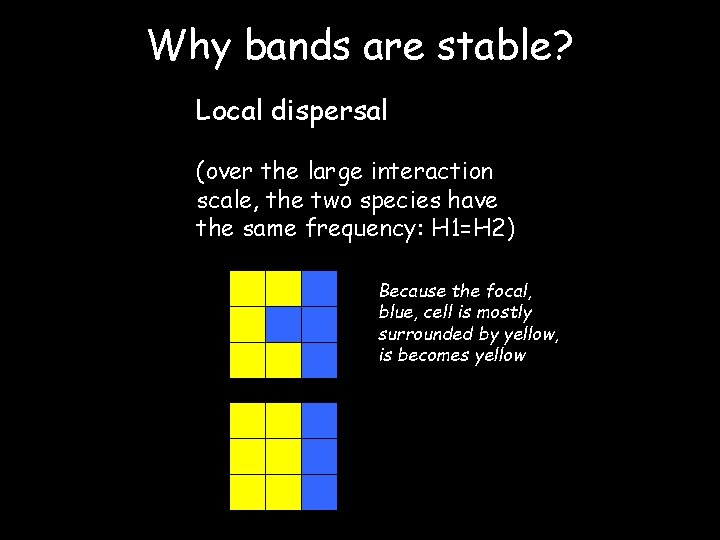 Why bands are stable? Local dispersal (over the large interaction scale, the two species