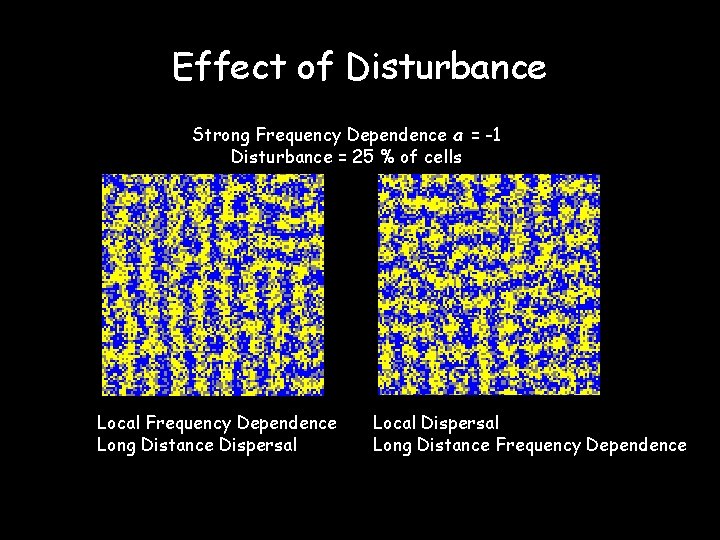 Effect of Disturbance Strong Frequency Dependence a = -1 Disturbance = 25 % of
