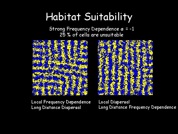 Habitat Suitability Strong Frequency Dependence a = -1 25 % of cells are unsuitable