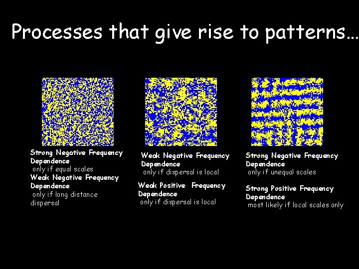 Processes that give rise to patterns… Strong Negative Frequency Dependence only if equal scales