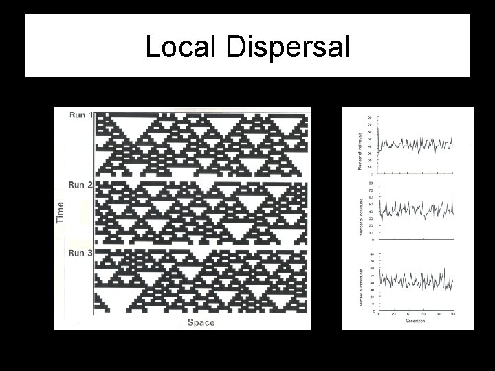 Local Dispersal 