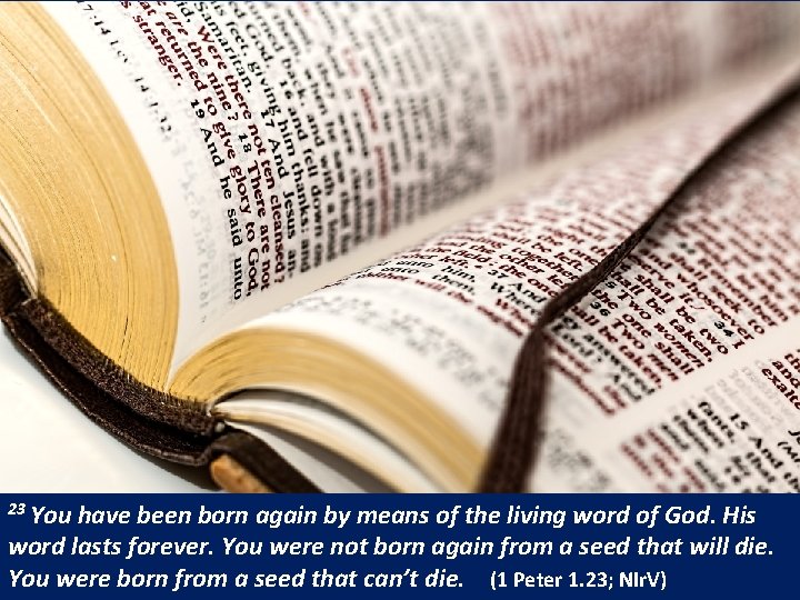 23 You have been born again by means of the living word of God. 23 You have been born again by means of the living word of God.