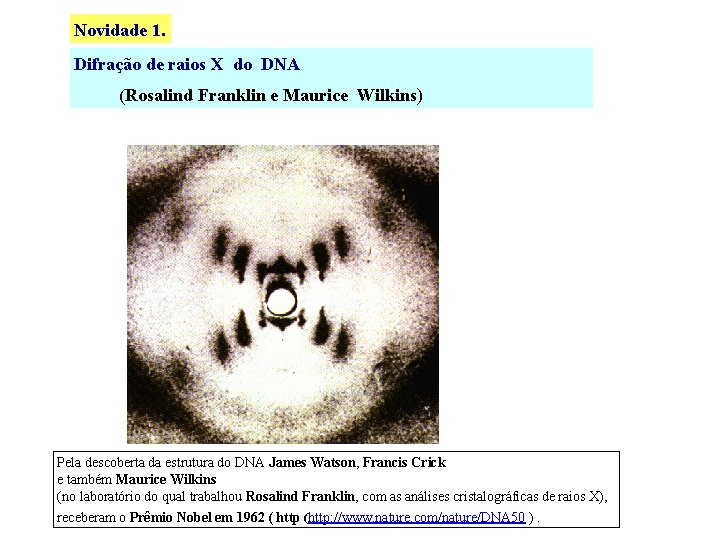 Novidade 1. Difração de raios X do DNA (Rosalind Franklin e Maurice Wilkins) Pela