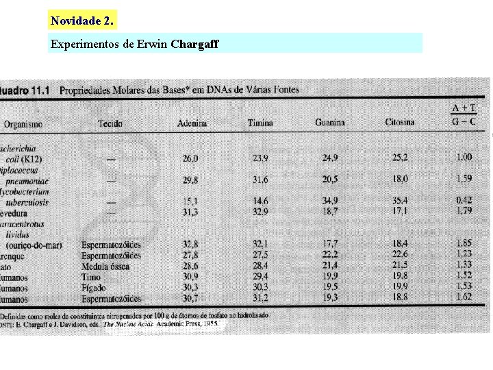 Novidade 2. Experimentos de Erwin Chargaff 