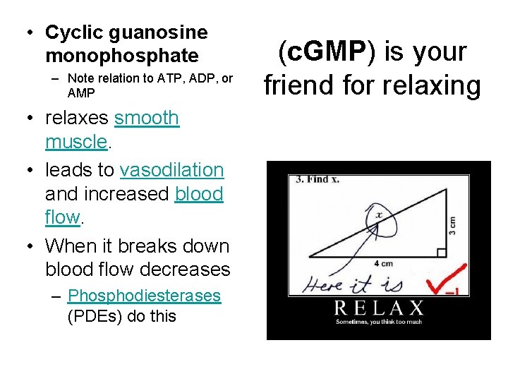  • Cyclic guanosine monophosphate – Note relation to ATP, ADP, or AMP •