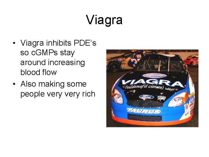 Viagra • Viagra inhibits PDE’s so c. GMPs stay around increasing blood flow •