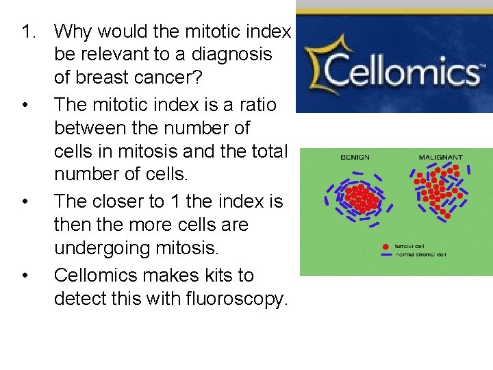 1. Why would the mitotic index be relevant to a diagnosis of breast cancer?