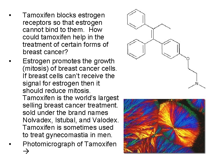  • • • Tamoxifen blocks estrogen receptors so that estrogen cannot bind to