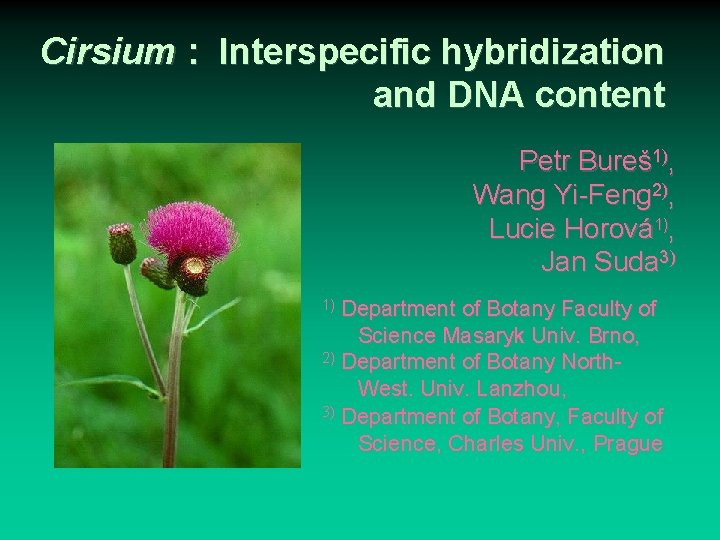 Cirsium : Interspecific hybridization and DNA content Petr Bureš 1), Wang Yi-Feng 2), Lucie