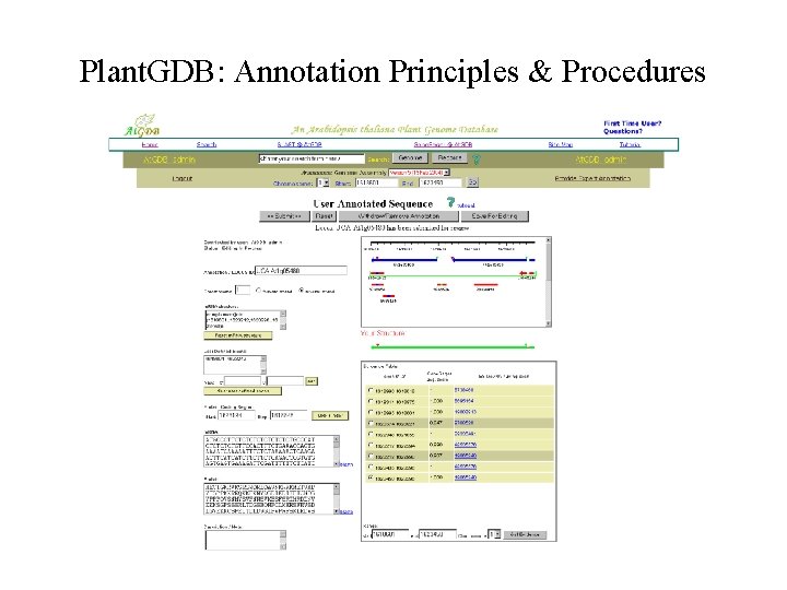 Plant. GDB: Annotation Principles & Procedures 