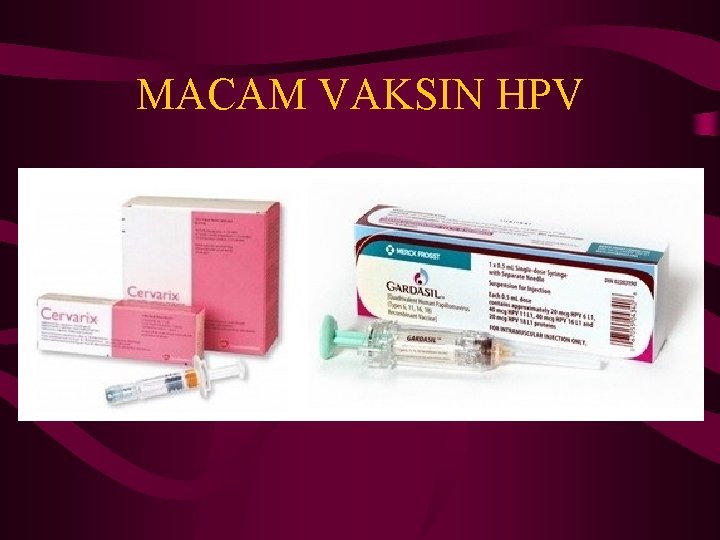 MACAM VAKSIN HPV 