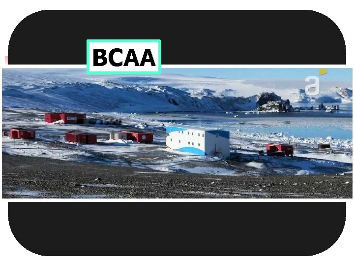 BCAA 