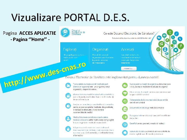 Vizualizare PORTAL D. E. S. Pagina ACCES APLICATIE - Pagina ‘’Home’’ - o r.