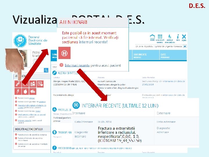 D. E. S. Vizualizare PORTAL D. E. S. 