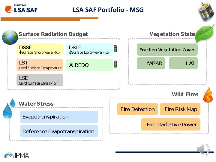 LSA SAF Portfolio - MSG Surface Radiation Budget DSSF DSLF LST ALBEDO Surface Short-wave