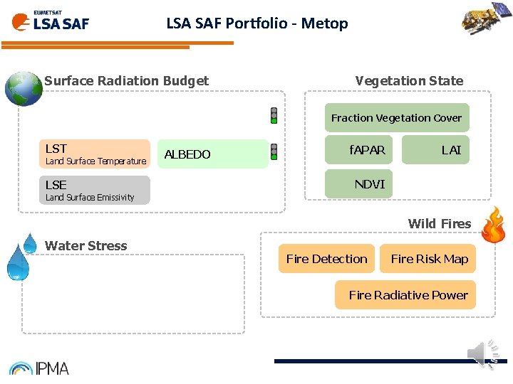 LSA SAF Portfolio - Metop Surface Radiation Budget Vegetation State Fraction Vegetation Cover LST