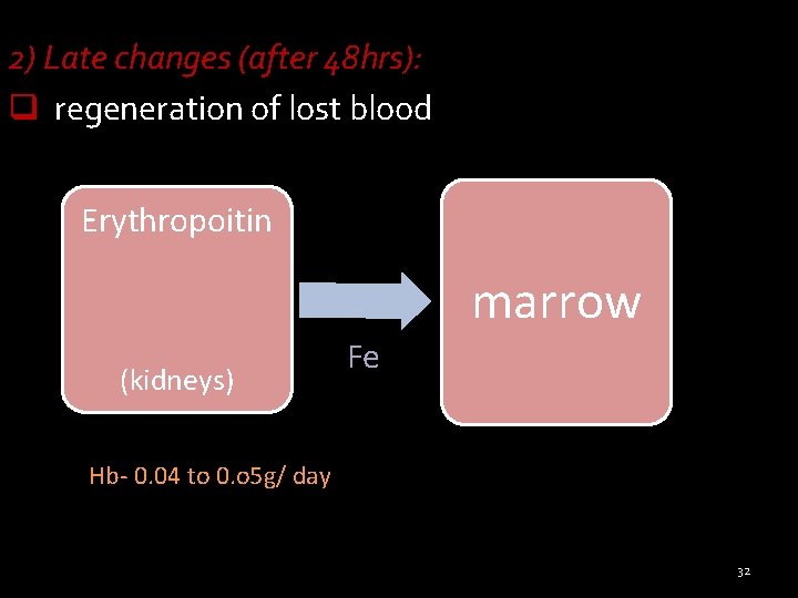 2) Late changes (after 48 hrs): q regeneration of lost blood Erythropoitin marrow (kidneys)