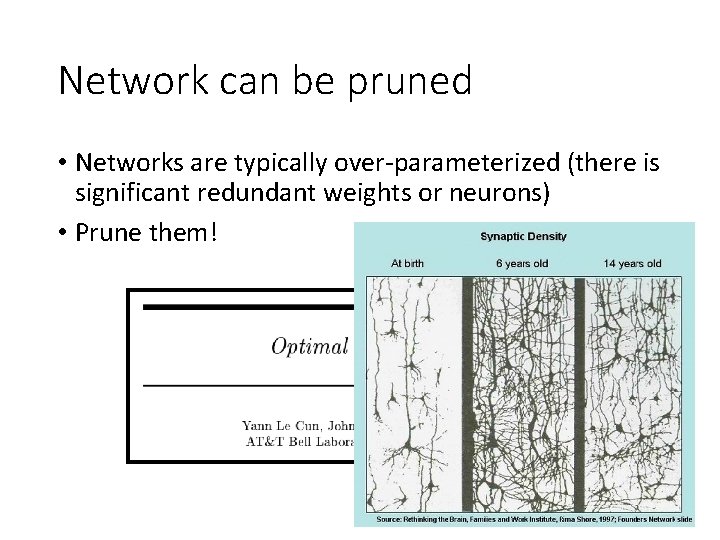 Network can be pruned • Networks are typically over-parameterized (there is significant redundant weights