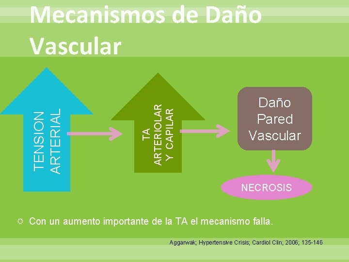 TA ARTERIOLAR Y CAPILAR TENSION ARTERIAL Mecanismos de Daño Vascular Daño Pared Vascular NECROSIS
