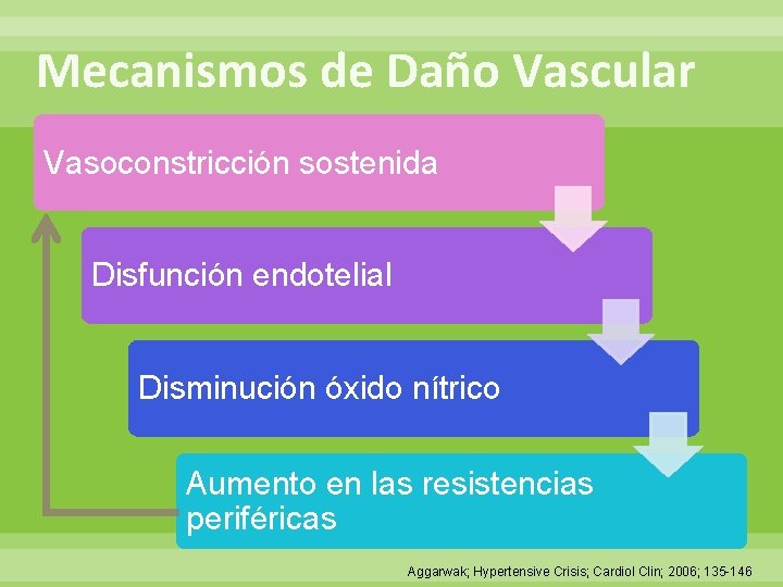 Mecanismos de Daño Vascular Vasoconstricción sostenida Disfunción endotelial Disminución óxido nítrico Aumento en las