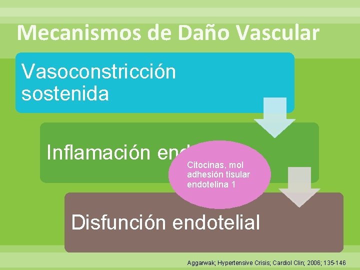 Mecanismos de Daño Vascular Vasoconstricción sostenida Inflamación endotelial Citocinas, mol adhesión tisular endotelina 1