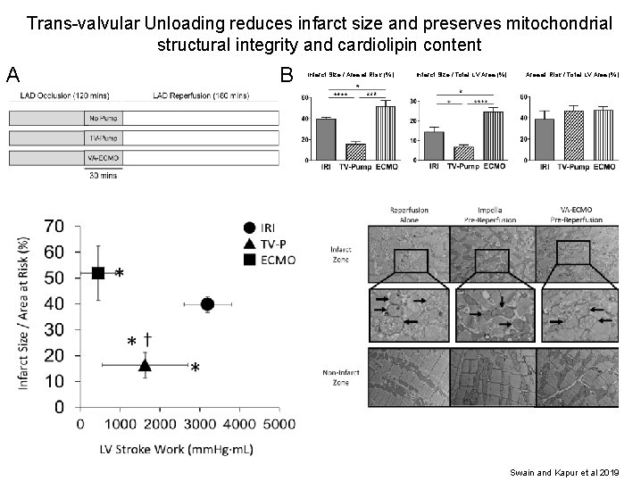Trans-valvular Unloading reduces infarct size and preserves mitochondrial structural integrity and cardiolipin content A