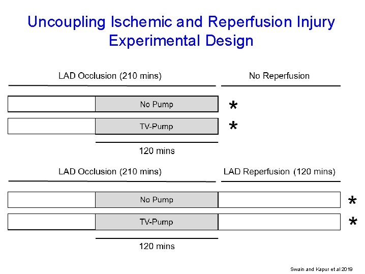 Uncoupling Ischemic and Reperfusion Injury Experimental Design Swain and Kapur et al 2019 