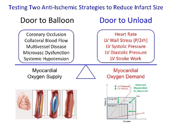 Testing Two Anti-Ischemic Strategies to Reduce Infarct Size 