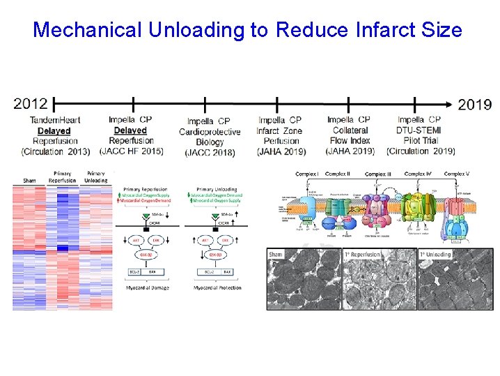 Mechanical Unloading to Reduce Infarct Size 