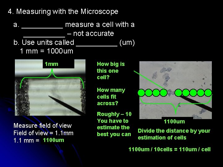 4. Measuring with the Microscope a. _____ measure a cell with a _____ –