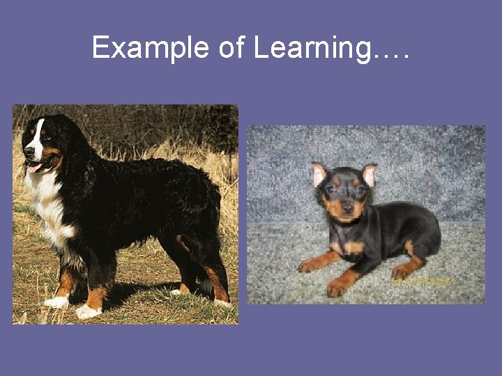 Example of Learning…. Example of Learning….