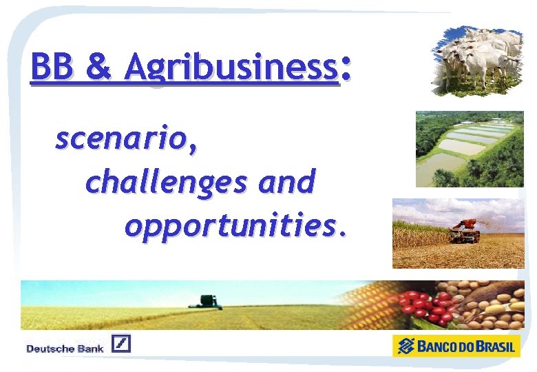 BB & Agribusiness: scenario, challenges and opportunities. 