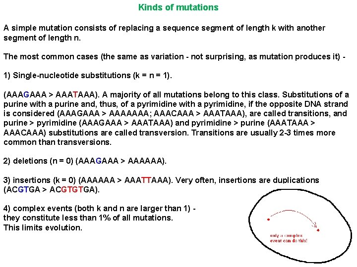 Kinds of mutations A simple mutation consists of replacing a sequence segment of length