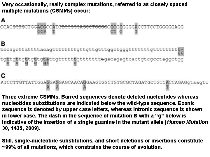 Very occasionally, really complex mutations, referred to as closely spaced multiple mutations (CSMMs) occur: