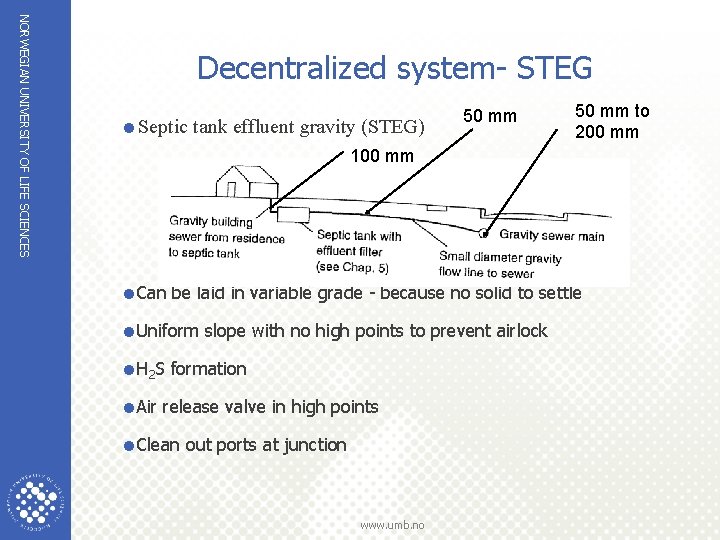 NORWEGIAN UNIVERSITY OF LIFE SCIENCES Decentralized system- STEG =Septic tank effluent gravity (STEG) 50