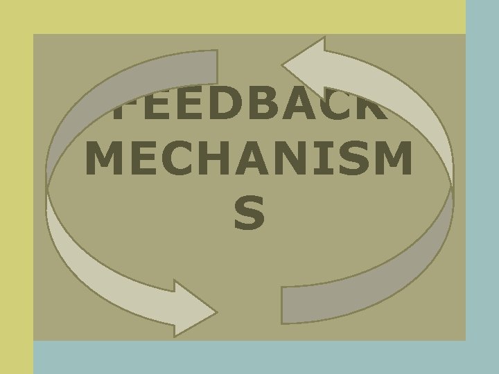 FEEDBACK MECHANISM S 