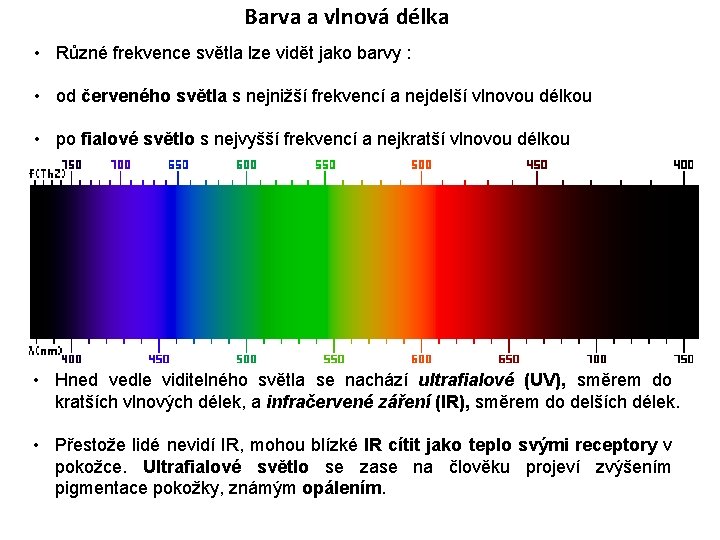 Barva a vlnová délka • Různé frekvence světla lze vidět jako barvy : •