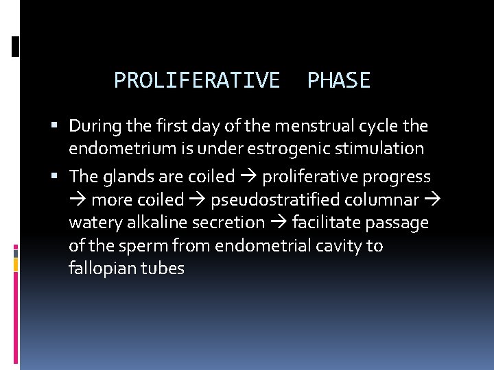 PROLIFERATIVE PHASE During the first day of the menstrual cycle the endometrium is under
