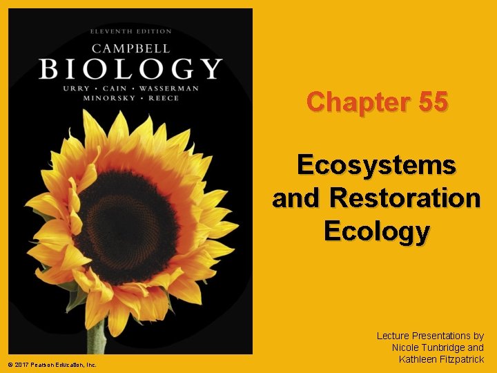 Chapter 55 Ecosystems and Restoration Ecology © 2017 Pearson Education, Inc. Lecture Presentations by