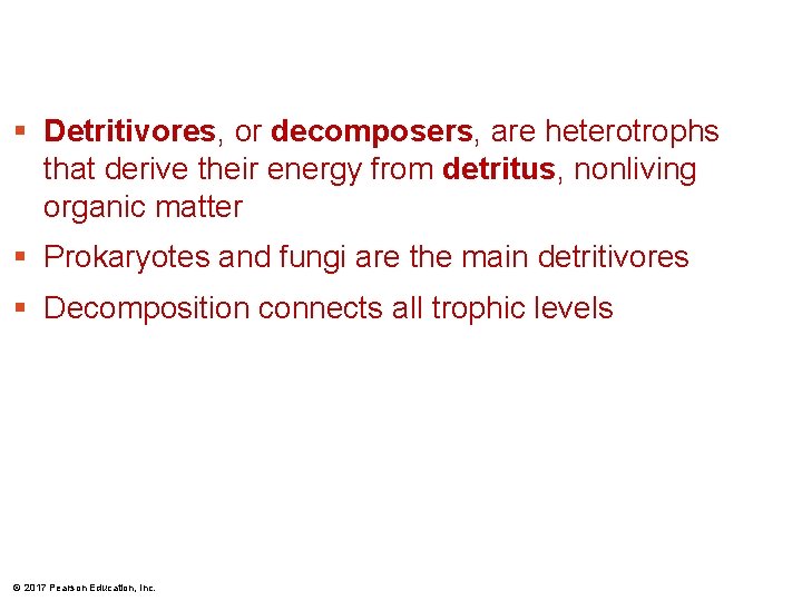 § Detritivores, or decomposers, are heterotrophs that derive their energy from detritus, nonliving organic