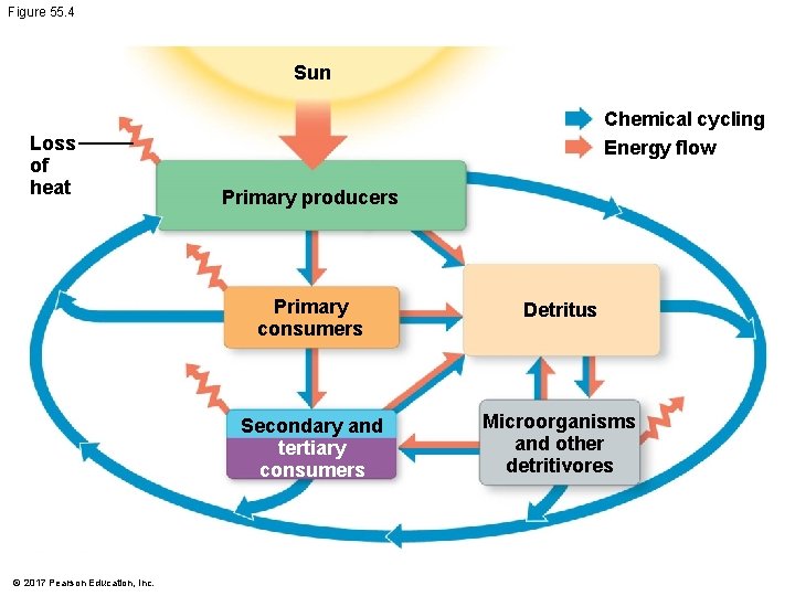 Figure 55. 4 Sun Loss of heat © 2017 Pearson Education, Inc. Chemical cycling